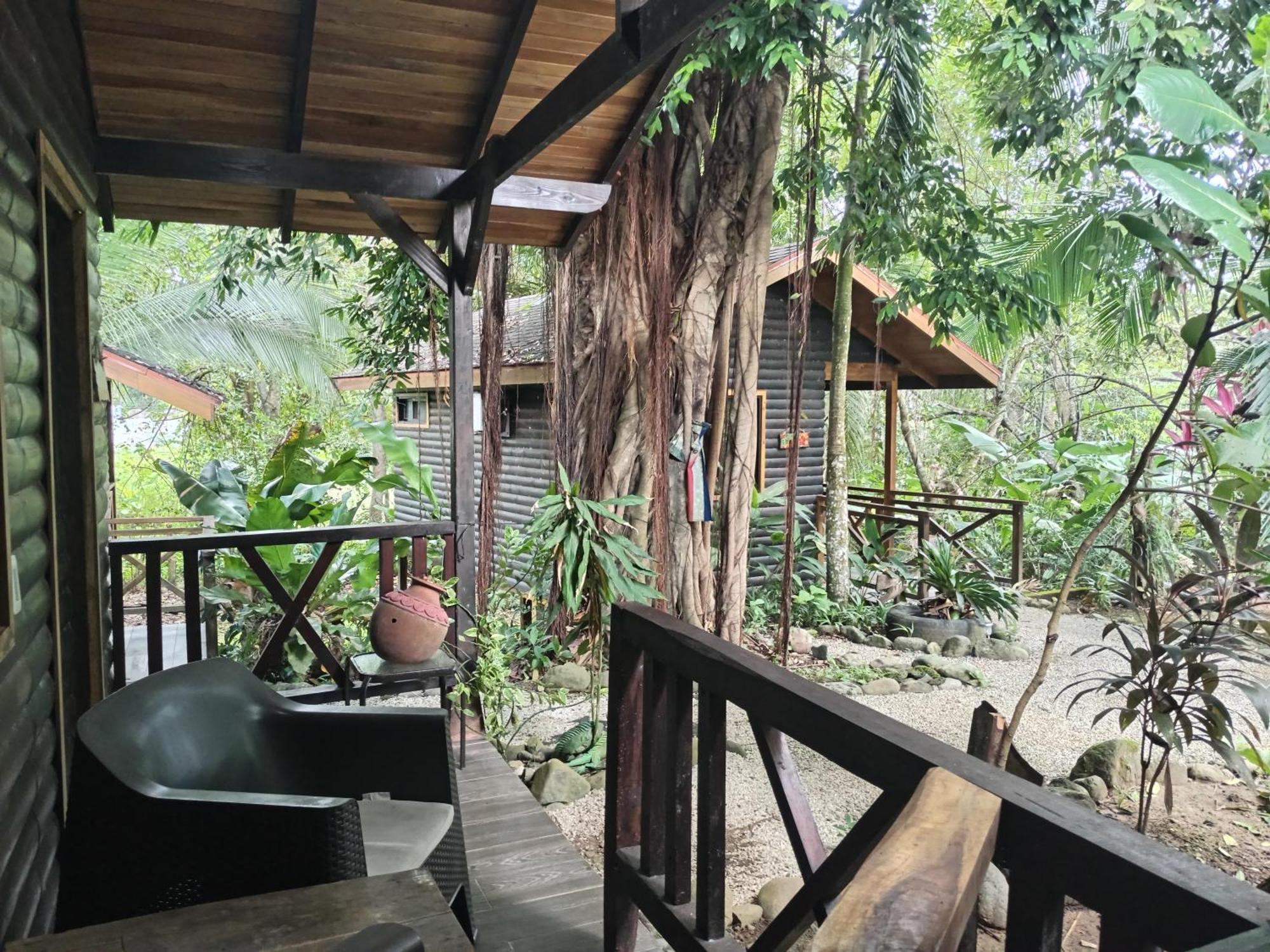 Bed and Breakfast Casa El Colibri à Parrita Extérieur photo