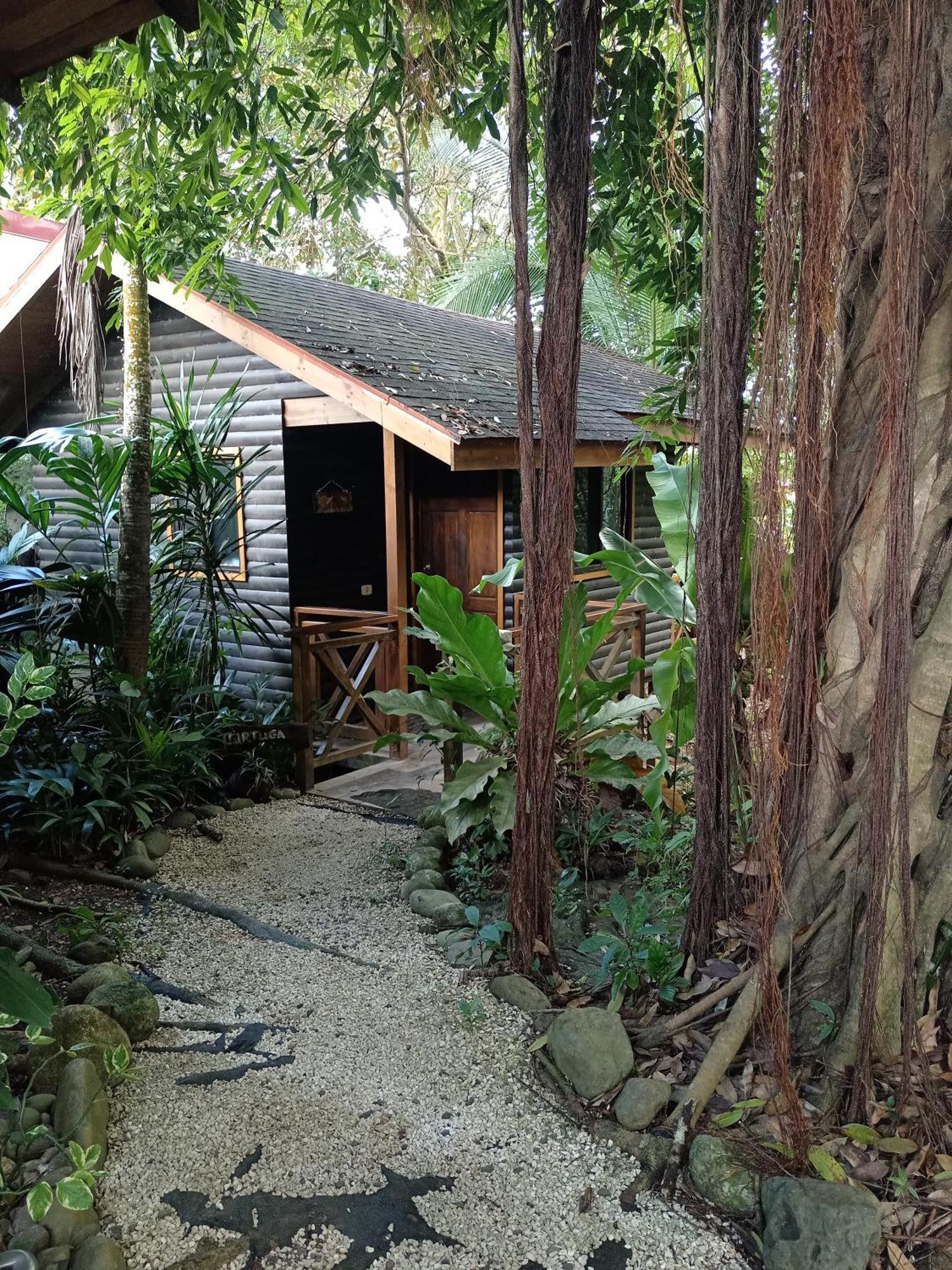 Bed and Breakfast Casa El Colibri à Parrita Extérieur photo